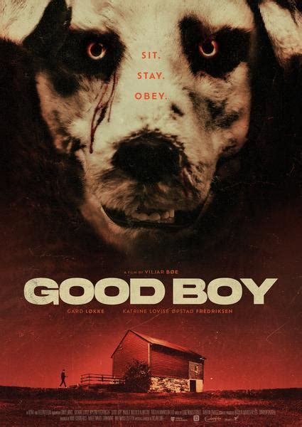 good boy 2022 wikipedia|good boy synopsis.